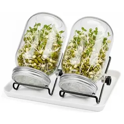 Relaxdays Sprossenglas 2er Set Gestell & Schale Grau,Schwarz,Transparent
