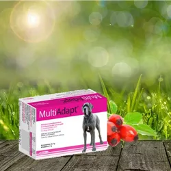 MultiAdapt  60 Stück - natürliche Immunabwehr - normaler Stoffwechsel