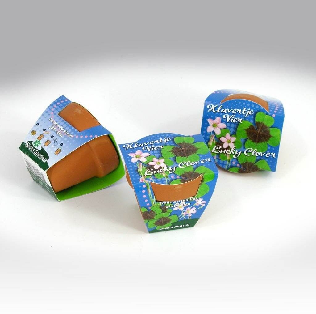 Greengift Terracotta Klavertje 4