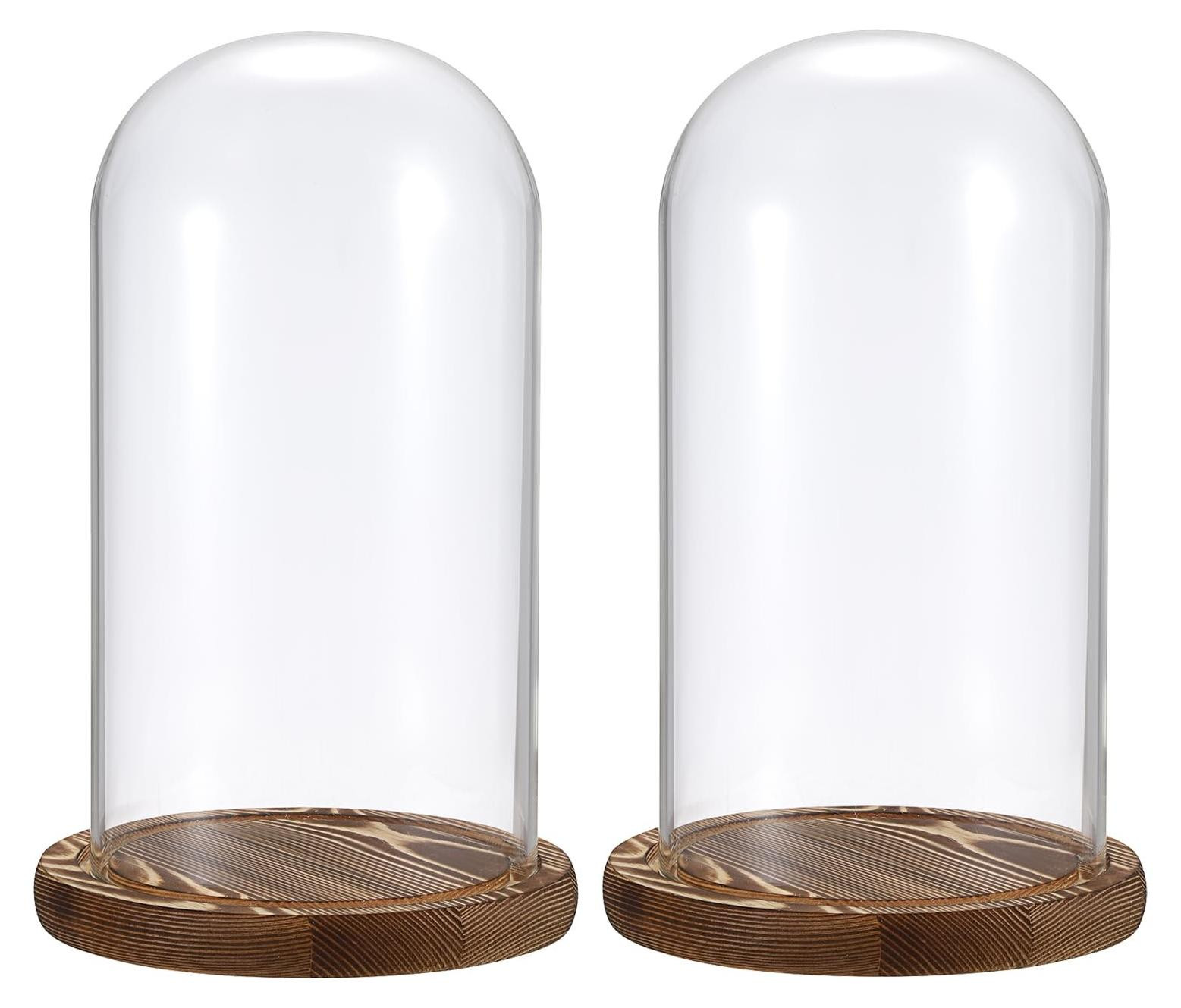 Merkloze Decoratieve Glazen Koepel met Houten Basis