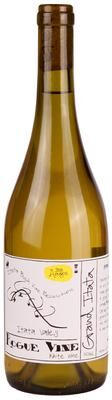 """Rogue Vine""" """Rogue Vine Grand Itata Blanco 2024 White Wine - Chile"""