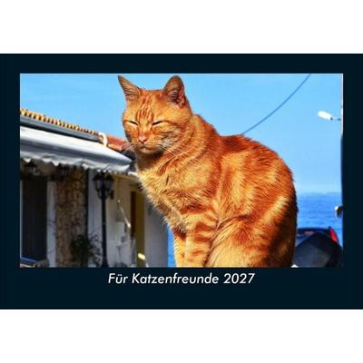 Für Katzenfreunde 2027 Fotokalender DIN A5