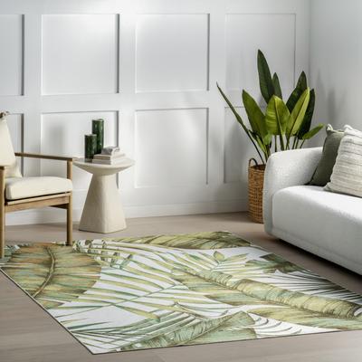 Nuloom Cyra Splashguard Graphic Machine Washable Area Rug