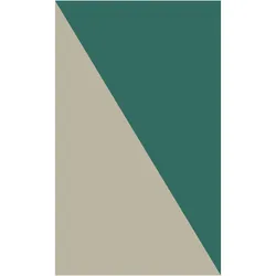 Salzburger Bachmann Edition, Belletristik von Ingeborg Bachmann