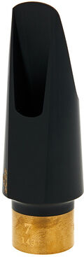 Silverstein LEO 1920 Special Edit. Alto 7