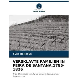 VERSKLAVTE FAMILIEN IN FEIRA DE SANTANA, 1785-1826, Fachbücher von Yves de Jesus