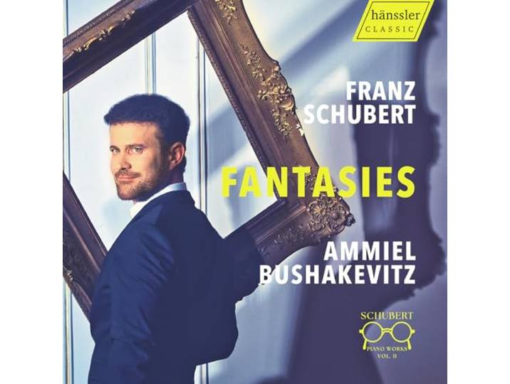Franz Schubert: Fantasies