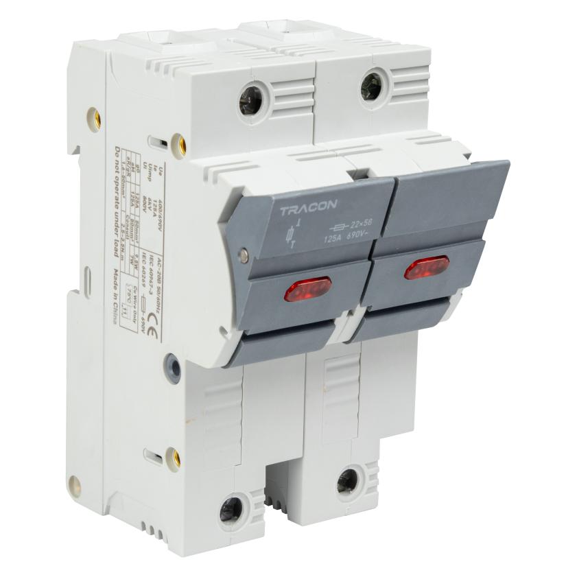 Tracon Allgemeines Produkt (100 A) (TR-CFBL2P100)