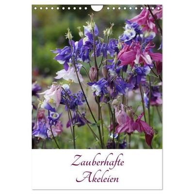 Zauberhafte Akeleien (Wandkalender 2026 DIN A4 hoch), CALVENDO Monatskalender