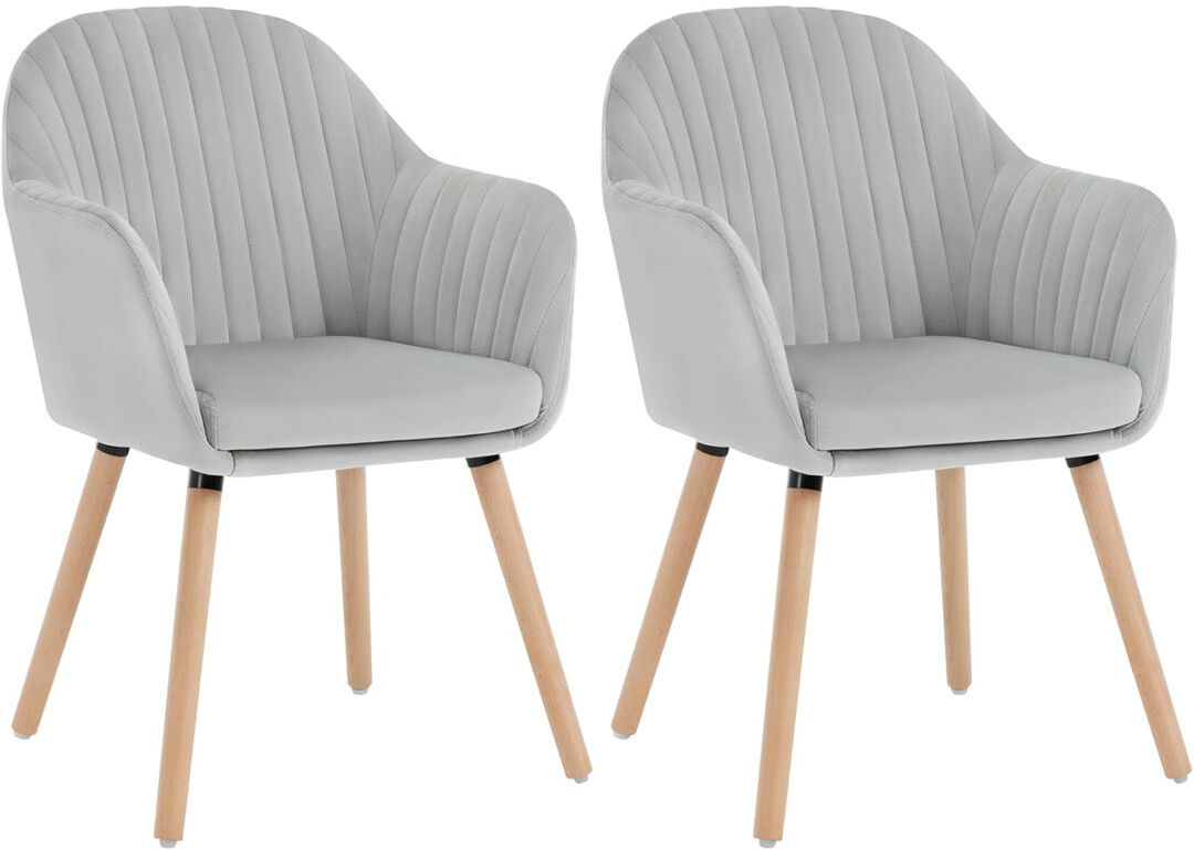 Isabelline Avila 44cm H Velvet Upholstered Upholstered Back Armchair Light Grey 81cm H X 50cm W X 42cm D