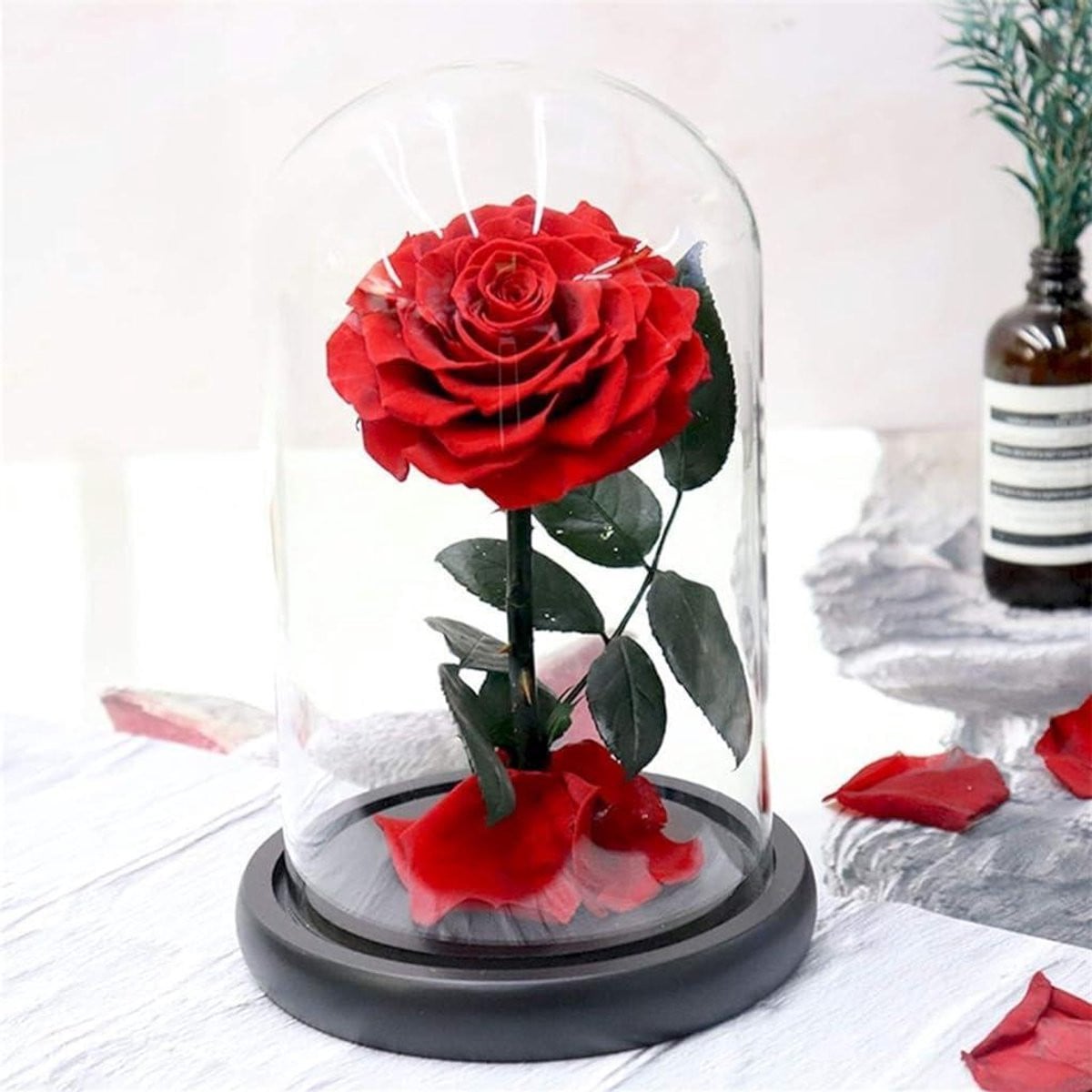 Eeuwige Roos Geconserveerde Bloem Rood - 12 x 20 cm