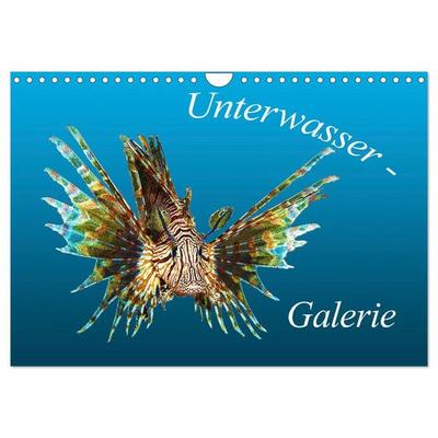 Unterwasser-Galerie (Wandkalender 2027 DIN A4 quer), CALVENDO Monatskalender