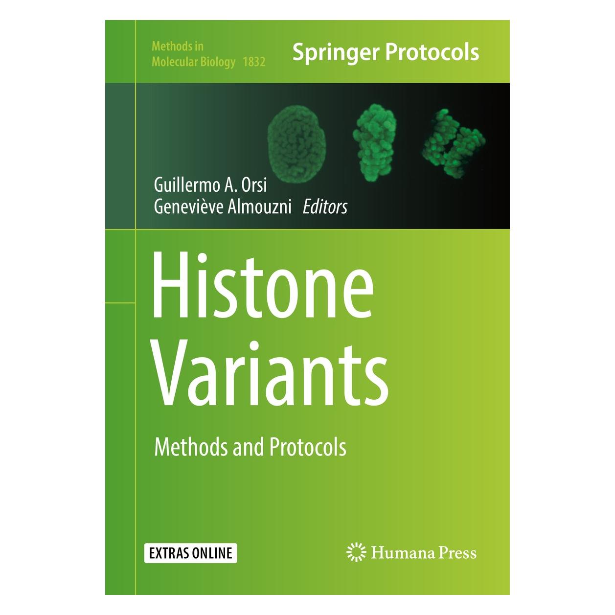 Springer Histone Variants (Englisch, Hardcover, Geneviève Almouzni, Guillermo A. Orsi) (9781493986620)