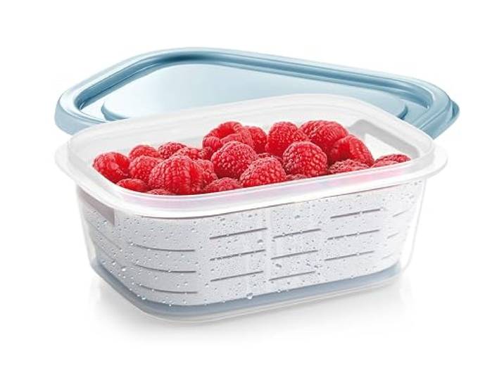 Tescoma Tiefkühl-Dosen mit Körbchen 4FOOD 1,0 l