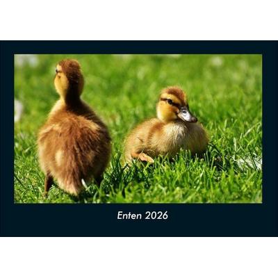 Enten 2026 Fotokalender DIN A4