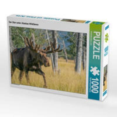 CALVENDO Puzzle Der Star unter Alaskas Wildtieren | 1000 Teile Lege-Größe 64x48cm Foto-Puzzle für glückliche Stunden