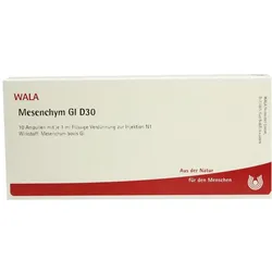 Mesenchym GL D 30 Ampullen 10X1 ml