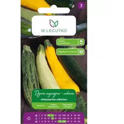 Gewöhnlicher Kürbis – Zucchini-Mischung verschiedener Sorten