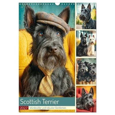 Scottish Terrier. Würdevoller und robuster Gentlemen (Wandkalender 2027 DIN A3 hoch), CALVENDO Monatskalender