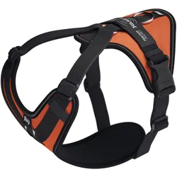 Julius-K9 K9 Longwalk light sele w/trackerpocket,UV Orange,M (M, Hund, Spazieren), Halsband + Leine