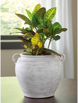 Signature Design by Ashley Meadie Gray Vase