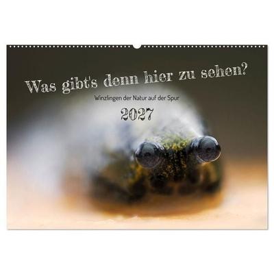 Was gibt's denn hier zu sehen? (Wandkalender 2027 DIN A2 quer), CALVENDO Monatskalender