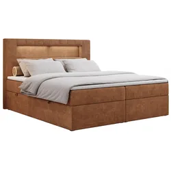BOXBETT GOLD-5 LED 200/200 Orange Struktur - H3
