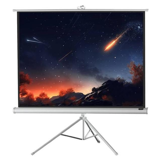 Celexon Economy tripod screen - Projektionsbildschirm mit Stativ - 197 cm (78") (77.56", 4:3) (1090266)