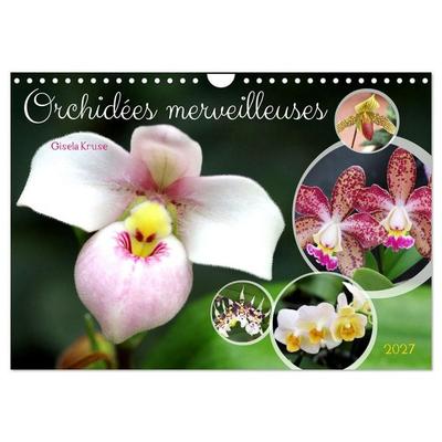Orchidées merveilleuses (Calendrier mural 2027 DIN A4 vertical), CALVENDO calendrier mensuel