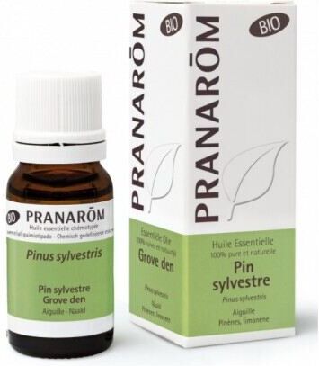 Pranarom Organic Scots Pine Essential Oil 10 ml 10 ml