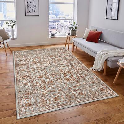 Magi Alana Fany Bordered Area Rug