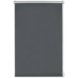 Gardinia, Rollo, EASYFIX Rollo Thermo ENERGIESPAREND (75 x 210 cm)