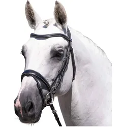Premier Equine, Zaumzeug