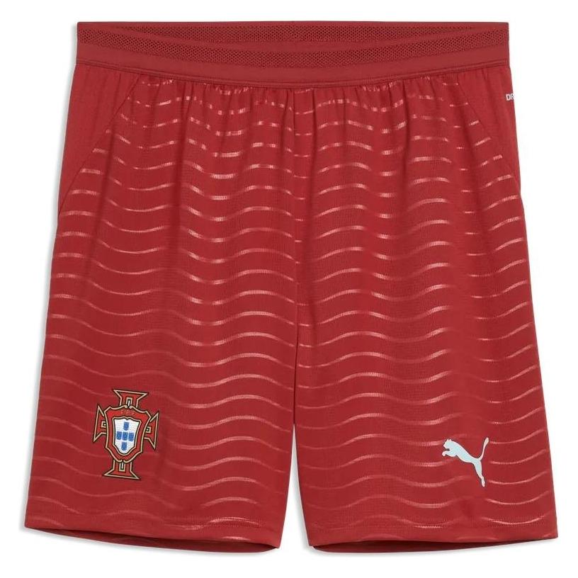 Puma FPF Shorts Replica (S) (783299)