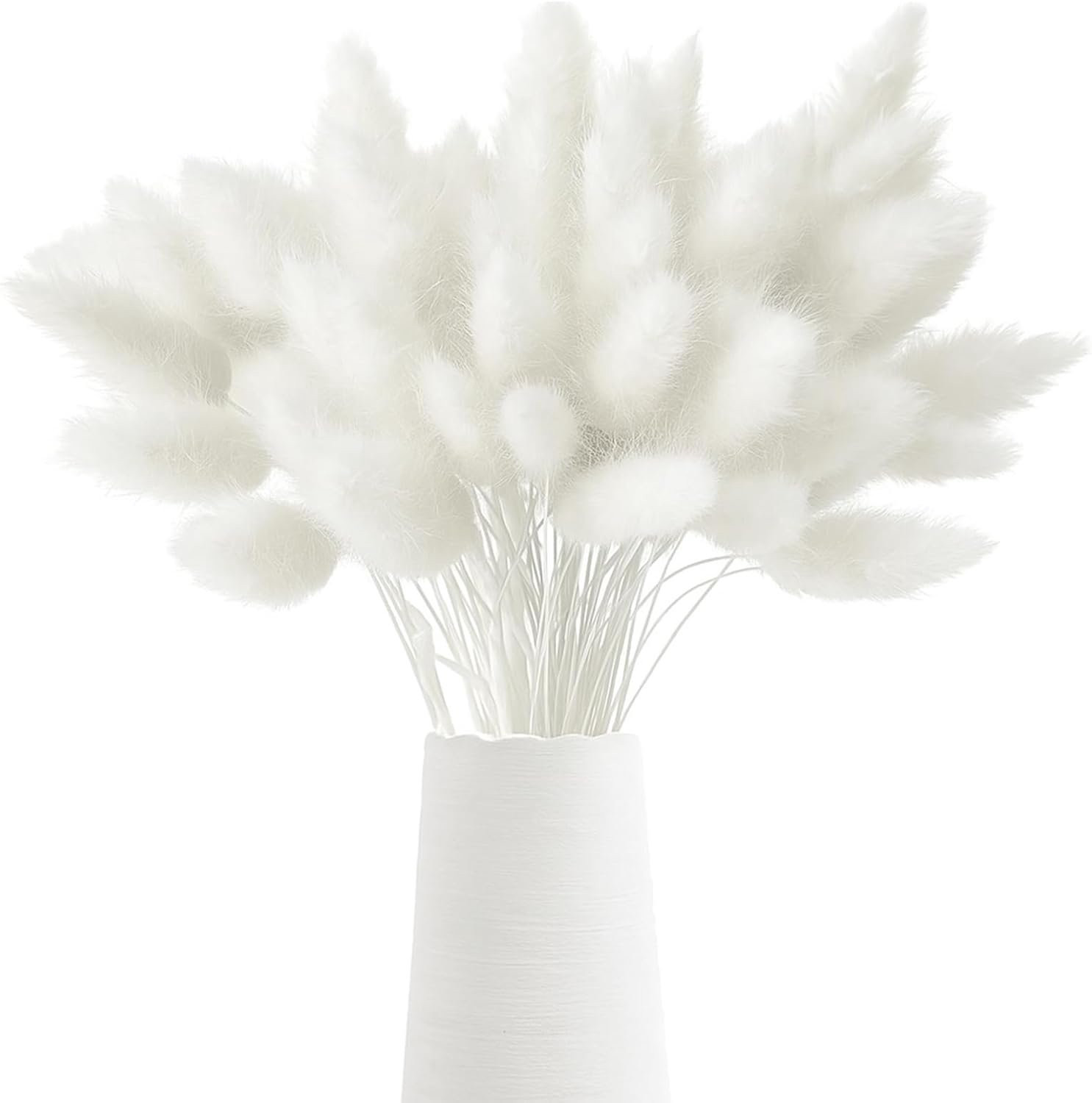 Gedroogde konijnenstaartbloemen 120 stuks - wit - natuurlijke textuur