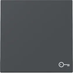 Gira 328728 Wippe Symbol Tür System 55 Anthrazit