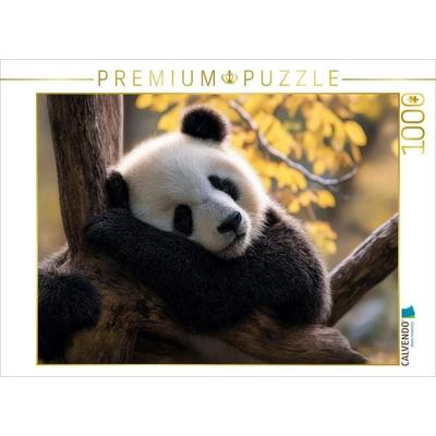 CALVENDO Puzzle Der Verdauungsschlaf | 1000 Teile Lege-Größe 64x48cm Foto-Puzzle für glückliche Stunden