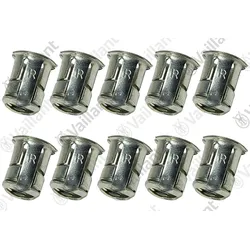 Vaillant Mutter, Blindniet, (x10) Vaillant-Nr. 0020257871