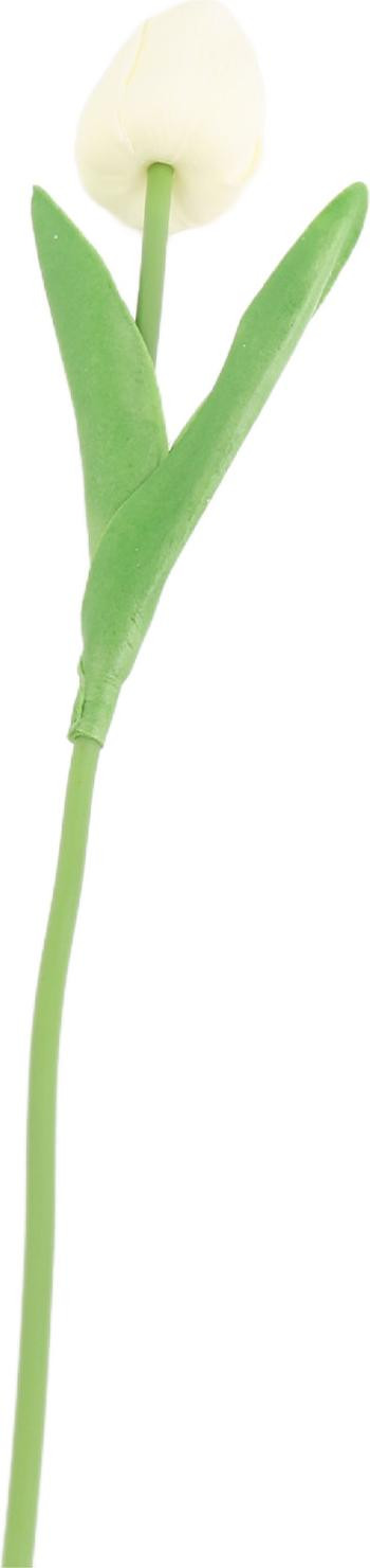 Cocosity Mini-tulpenboeket Melkwit