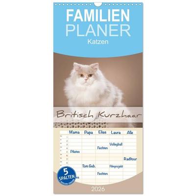 Familienplaner 2026 - Die Britisch Kurzhaar Katze mit 5 Spalten (Wandkalender, 21 x 45 cm) CALVENDO
