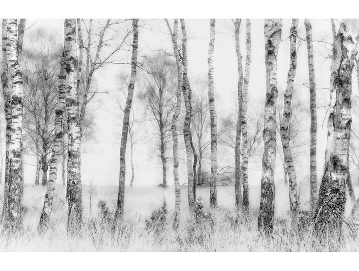 Fototapete PAPERMOON Photo-Art NEL TALEN, SCHWARZ UND WEISS , bunt, B:2,5m L:1,86m, Vlies, Tapeten, Fototapete