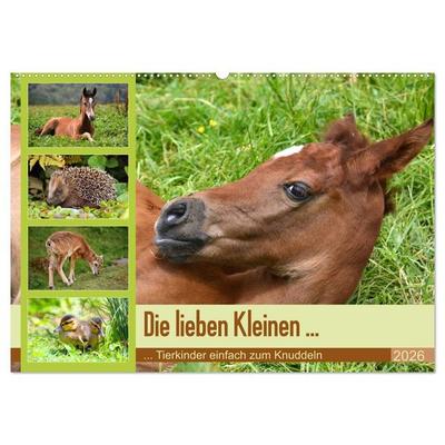 Die lieben Kleinen ... Tierkinder einfach zum Knuddeln (Wandkalender 2026 DIN A2 quer), CALVENDO Monatskalender