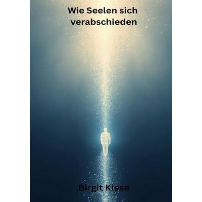 Wie sich Seelen verabschieden, Taschenbuch von Birgit Kiese, Epubli, 978-3-565-26478-0
