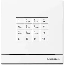 Busch-Jaeger Zutrittskontrolle außen 83100/71-664 2CKA008300A0416