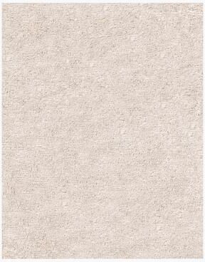 Ben Soleimani Performance Shag Handwoven Ultrifine Spun PET Rug