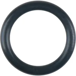 KS Tools O-Ring - 150.2039-R018P