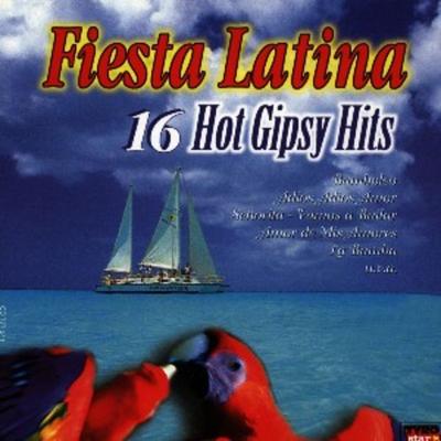 Hot Gipsy Hits - Various,16 Titel, CD