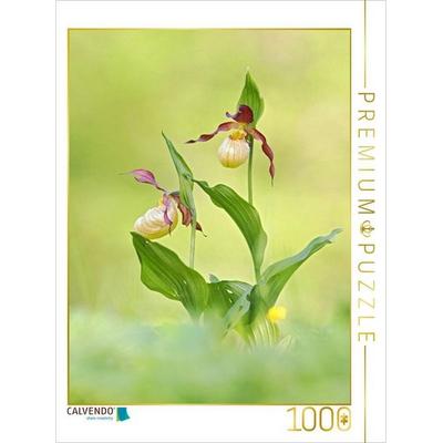 CALVENDO Puzzle Ein Motiv aus dem Kalender Heimische Erdorchideen im natürlichen Lebensraum | 1000 Teile Lege-Größe 64 × 48 cm Foto-Puzzle für