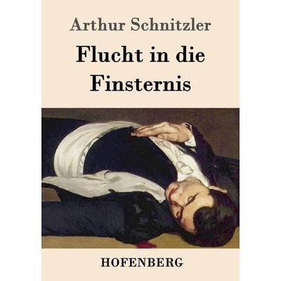 Flucht in die Finsternis, Taschenbuch von Arthur Schnitzler, Hofenberg, 978-3-8430-2077-0
