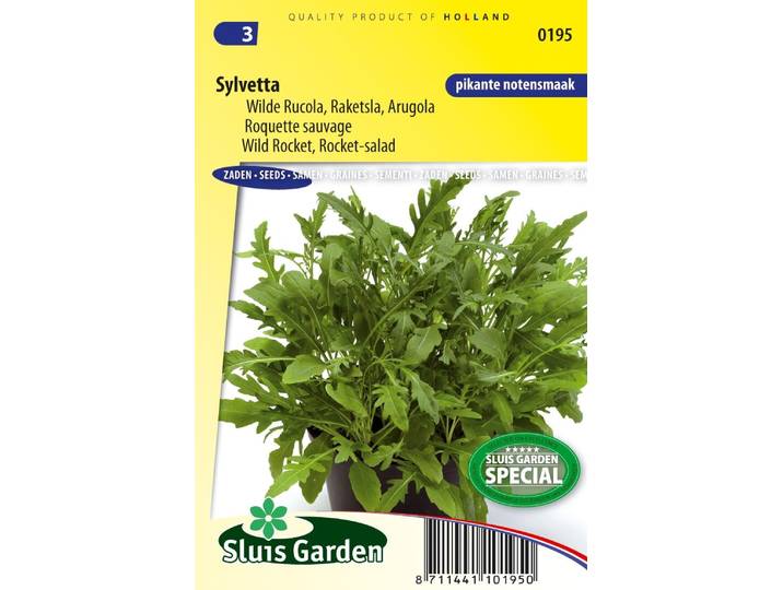 Wilde Rucola Sylvetta zaden